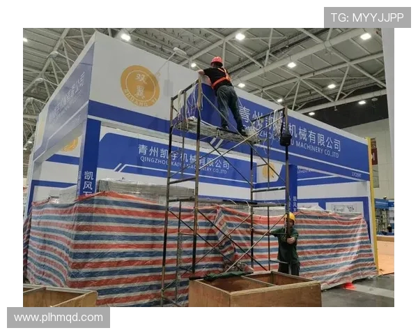 专访杨强:揭示攀岩高手的成功秘诀与训练心得