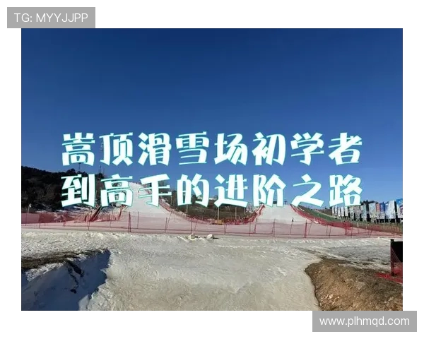 吴丽专访：从初学者到滑板高手的成长与坚持之路